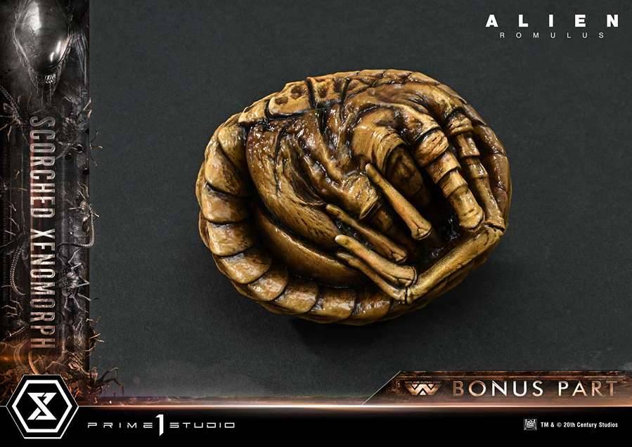 Prime 1 Studio - Scorched Xenomorph 1/3 | Mirai Collectibles